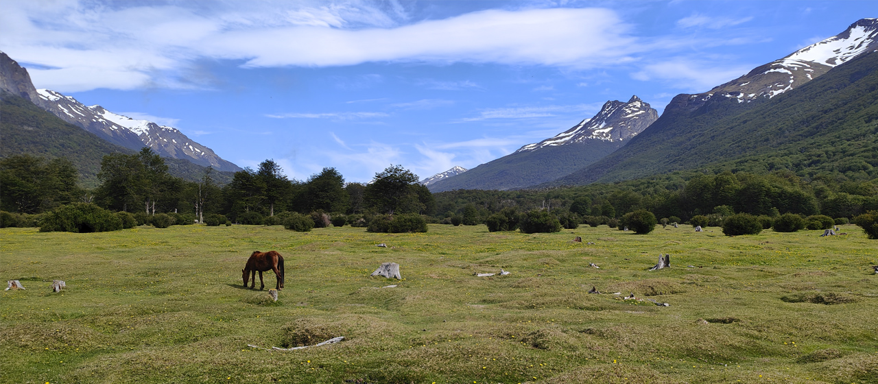 Argentina.