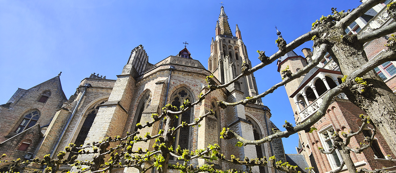 Foto de Brujas