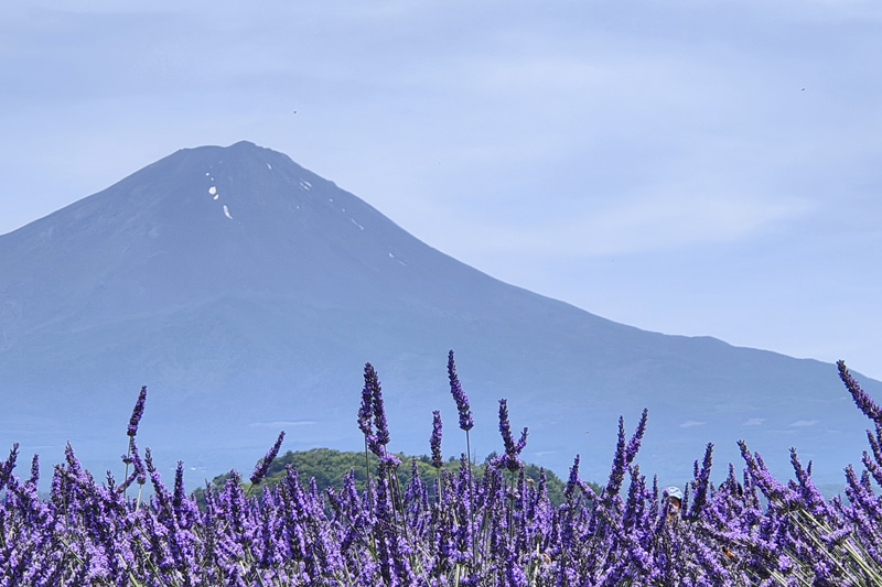 Foto de Japón en julio