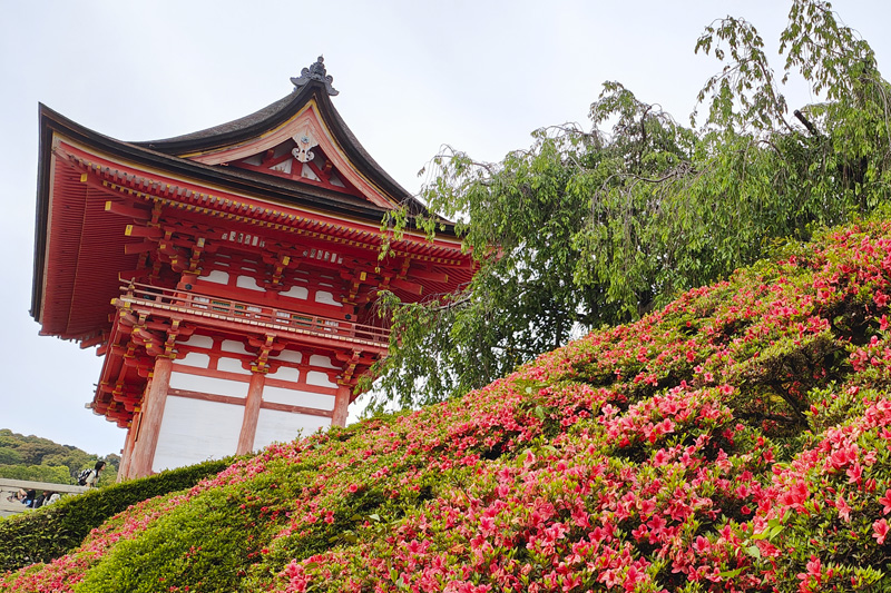 Foto de Japón en octubre