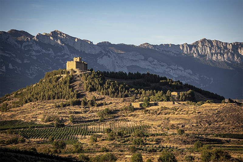La Rioja. Foto por Mario La Pergola para Unsplash.